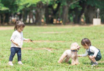 ＜日常の危険に対する備え＞①うちのワンちゃんが息子の同級生にケガを負わせてしまった