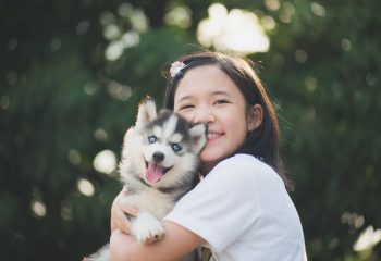 愛犬が隣人から暴力被害　傷害罪で告訴できるのか、損害賠償は請求できるのか