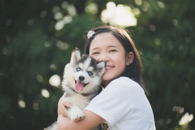 愛犬が隣人から暴力被害　傷害罪で告訴できるのか、損害賠償は請求できるのか