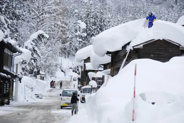 「雑損控除」って何。雪下ろし費用、シロアリ駆除も控除になるって本当？