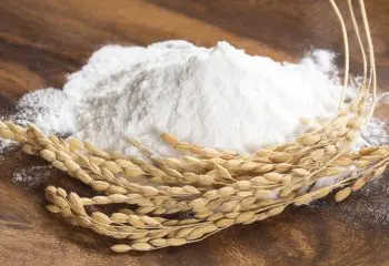 ノングルテンの米粉は欧米でも人気上昇中！ パンや麺で気軽に利用してみませんか