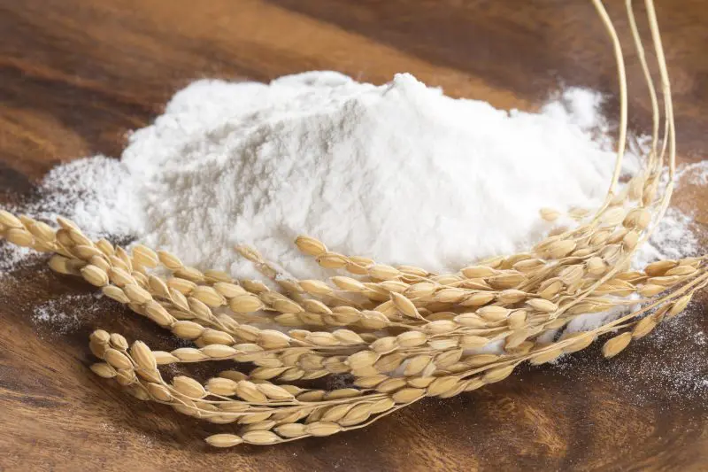 ノングルテンの米粉は欧米でも人気上昇中！ パンや麺で気軽に利用してみませんか