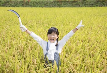 「育てる、収穫する、食べる…」一度なったら何度も楽しい！　農業のオーナー制度とは