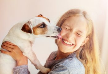 相続とペットの問題～家族と同様に取り扱っているペットを相続人にすることはできるのか～