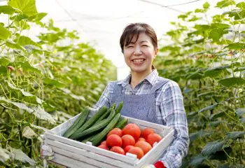 ふるさと納税で被災地を支援しよう！―実質負担2000円で被災地には大きな寄付ができるって知ってますか？