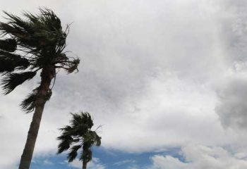 大雨・台風に備えて、いまから保険内容を確認しておこう