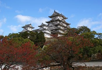 今年は明治維新150周年、お城もブームです。「日本100名城」に出掛けてみませんか