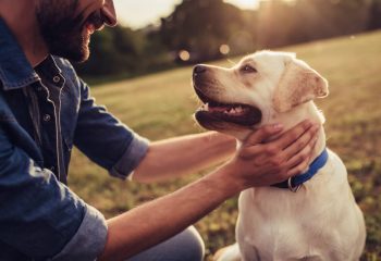 【一瞬の隙に飼い犬が子供を噛んでしまった・・私の責任はどの程度？】