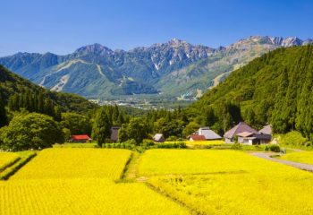 「週末は田舎でのんびりしたい」都心と田舎の2拠点生活の注意点