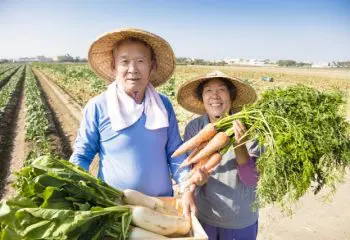 農家の人のための年金制度・農業者年金（1）－農業者年金に加入できる人とは？－