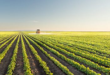 農地の相続において特に注意しておきたい、農地ならではの注意点とは？