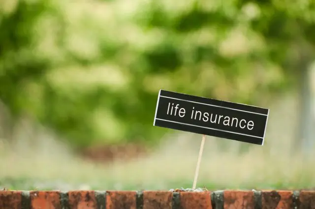 生命保険の加入を考えるとき、最低限知っておきたい仕組みと用語とは