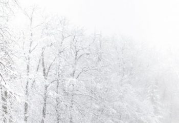 知っておきたい火災保険。「風災・ひょう災・雪災」って、どんな意味？