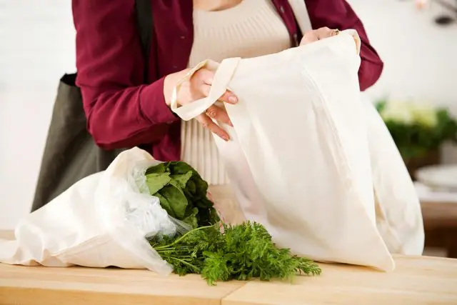 レジ袋の有料化が家計に与える影響とは？