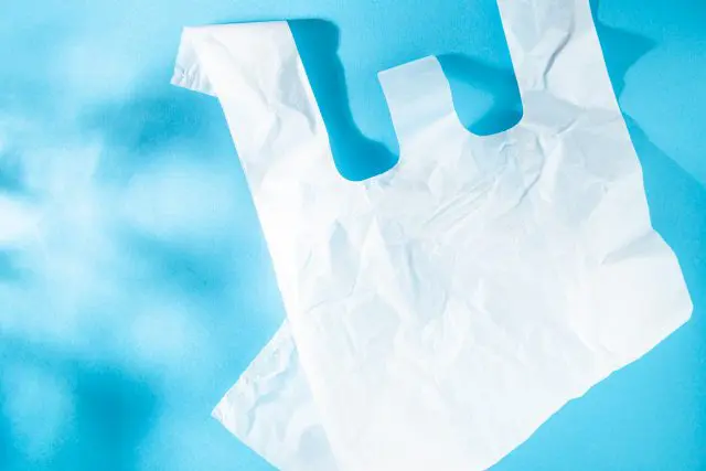 レジ袋有料化、対象をおさらい！プラスチックの袋でも有料化の対象外になるものって？