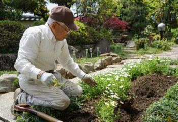 変わる年金。75歳まで働くために必要なこととは？ 在職老齢年金のこと