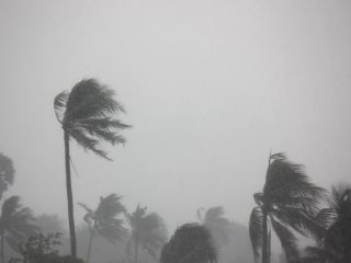 台風や大雨の被害を受けたときに知っておきたいこと。税金や保険料を減額するために必要な手続きとは？