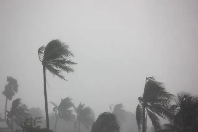 台風や大雨の被害を受けたときに知っておきたいこと。税金や保険料を減額するために必要な手続きとは？