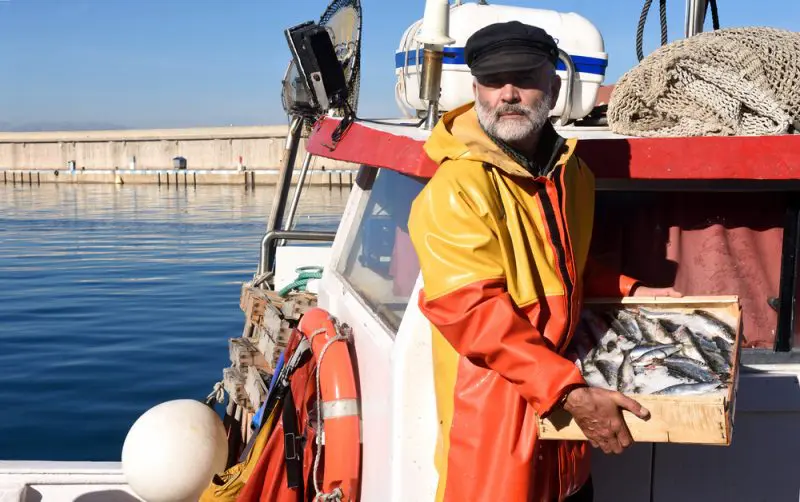 漁師の年収、どの職種が最も高い？