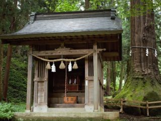 【素朴な疑問】神社のおさい銭は非課税？ どんな風に使われる？