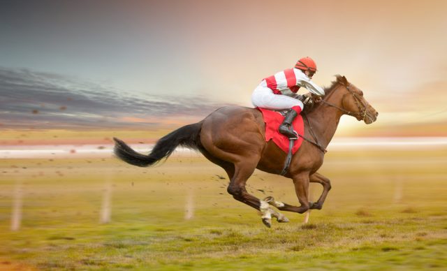 競馬ライター 人気 年収