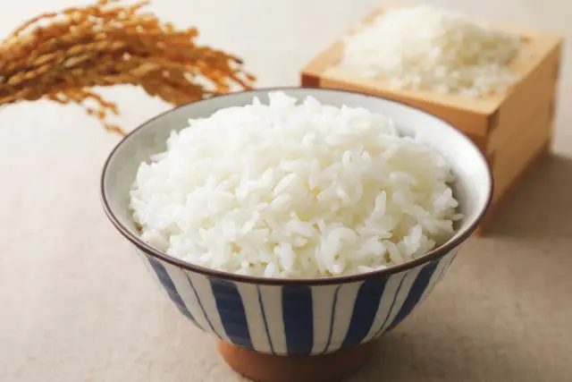 穀物の値上げが続く今、お米が値下がり傾向って知ってた？