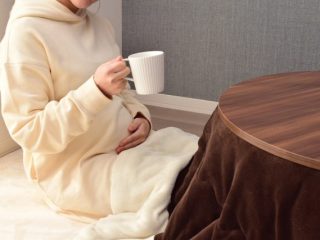 「エアコン・電気毛布・こたつ」一人暮らしにおすすめの暖の取り方って？