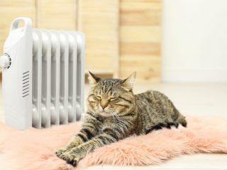 猫が部屋にいるので、一日中暖房をつけっぱなしです。なにか節約する方法はありますか？