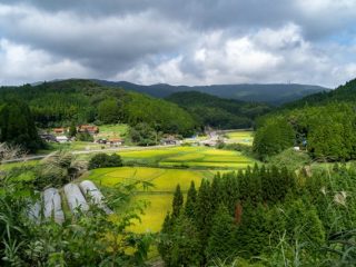 定年退職後は故郷にUターンしたい。費用はどれくらいかかる？ 国や自治体からの補助金は利用できる？