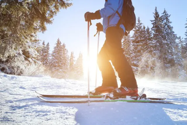 【シーズン到来】スキーやスノーボードの保険には入っておく方がいい？ 保険料はいくらぐらいかかる？