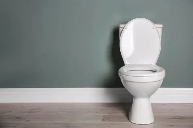 トイレの「大」「小」の水量はどれだけ違う？ 水道代への影響を確認