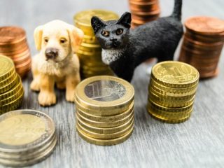 意外と高い？！ペットの定番「犬・猫」を飼う前に知っておくべき費用