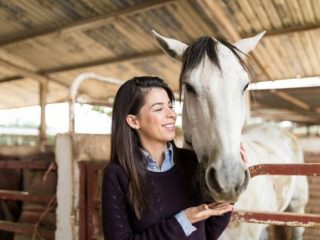 月550円の出資で「馬主」になれる！ 一口馬主の仕組みや馬主を募集しているグループを解説！