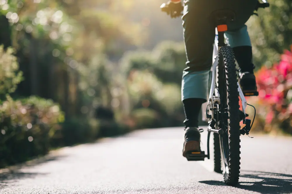 自転車事故で重症の歩行者数、増加。自転車保険、入ってますか？