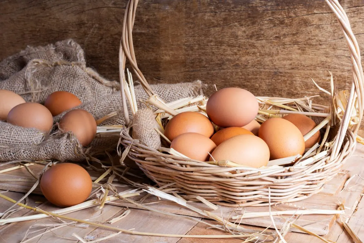 物価の優等生「卵」が高騰。一般人が代替卵で節約することは可能？