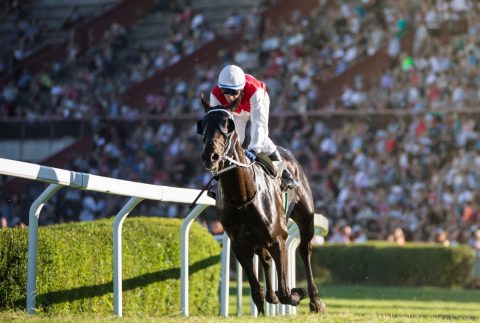 18歳成年、競馬やパチンコはどうなの？