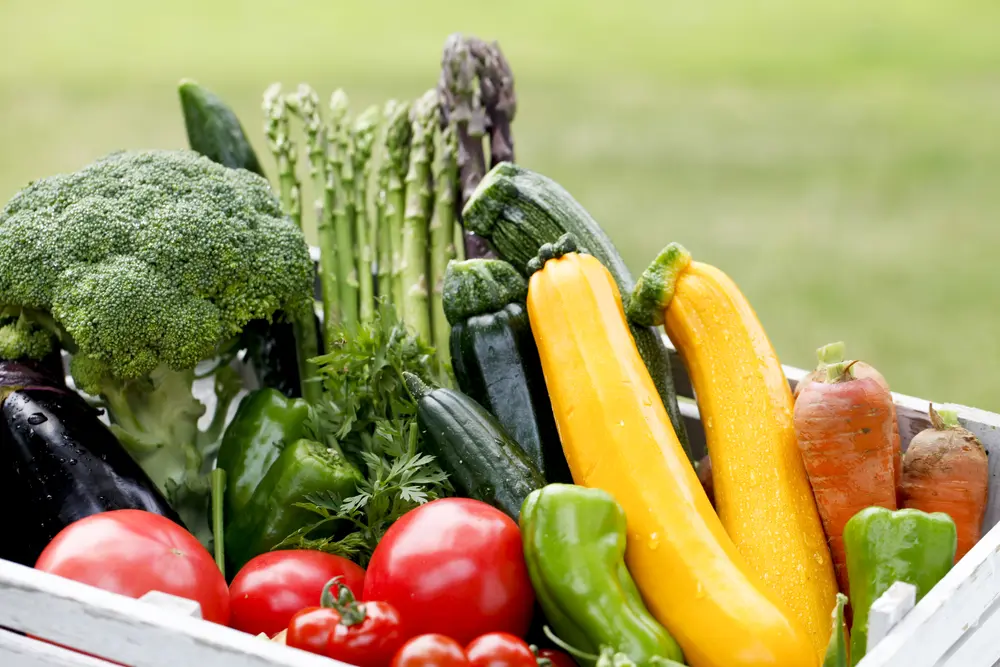 【食費の節約】物価高騰に負けない！家庭菜園で失敗しにくい野菜とは？