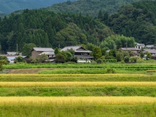 東京から地方に移住して、支援金をゲットできる！起業支援金でさらに最大200万円ゲット？