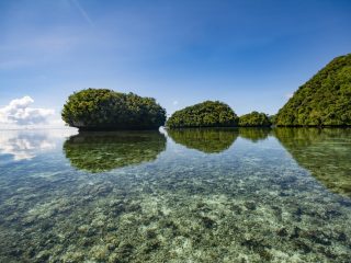 ちょっと「コア」な都内観光はいかが？東京の離島への交通費やアクセスを徹底解説！