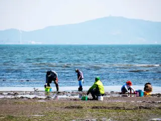 関東で楽しめる「無料」潮干狩りスポット5選