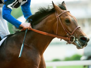 競馬で当たったら「税金」が発生する？確定申告の方法は？