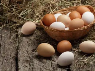 2023年、卵は「平均333円」に!?「物価の優等生」である卵の価格高騰が止まらない！