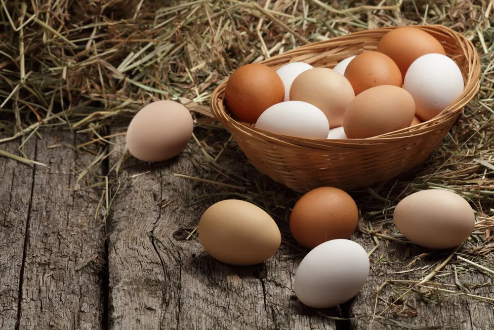 2023年、卵は「平均333円」に!?「物価の優等生」である卵の価格高騰が止まらない！