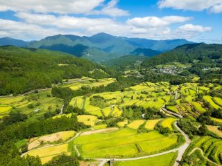 【暮らしの幸福度】「東京」と「東京以外」で大差なし？ ポイントはコスト面？