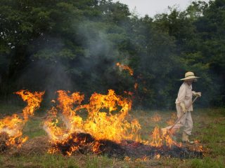 祖父がいまだにゴミなどを「野焼き」しています。「田舎だから大丈夫」と言っていますが、警察に見つかったら罰金など払うのでしょうか？