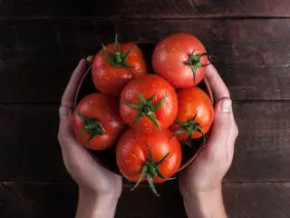「トマトの丸かじり」ってコスパ良いですか？ お金がなくてあまり野菜を買えないのですが、どうすれば経済的に食べられますか？