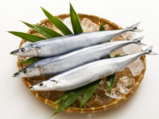 サンマの単価は15年で約8.5倍に！ 秋の味覚の代替食材に「イワシ」がおすすめ!?