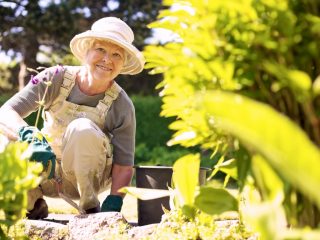 60歳から雇用継続で、年収は「300万円」の見込みです。働きながら年金をもらうことはできるのでしょうか？「年金額が減る」と聞いたこともあるため不安です