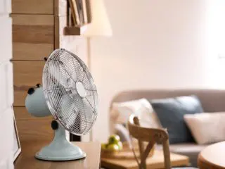 涼しくなってきた今が節約どき！「一日中」扇風機をつけると電気代はいくらかかる？