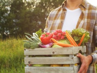 【知らないと嫌われる!?】田舎暮らしだと無料で「お米」や「野菜」がもらえるって本当？ 地方在住の筆者が暗黙のルールについても解説